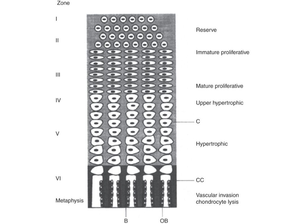Figure 20.14