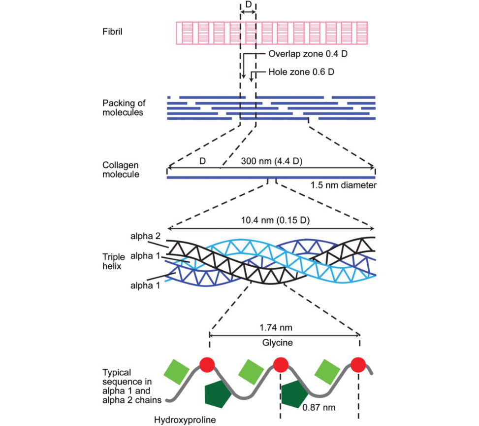 Figure 20.18