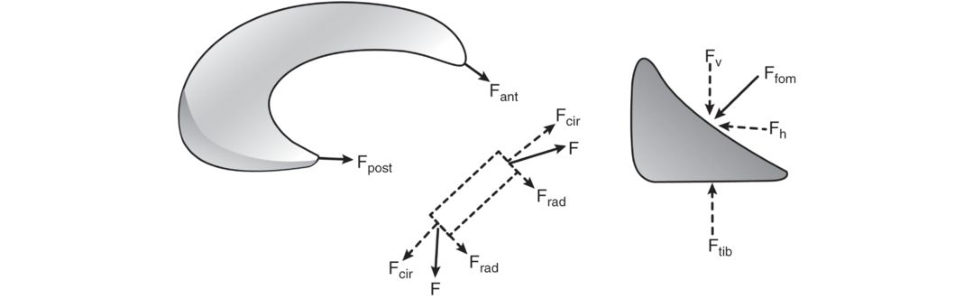 Figure 20.32
