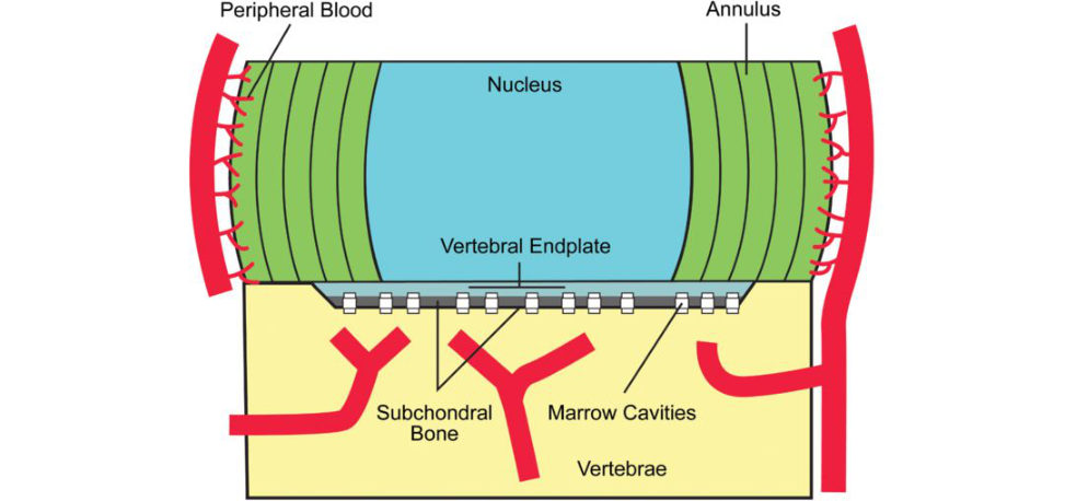 Figure 20.34