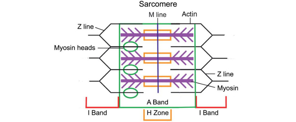 Figure 20.49