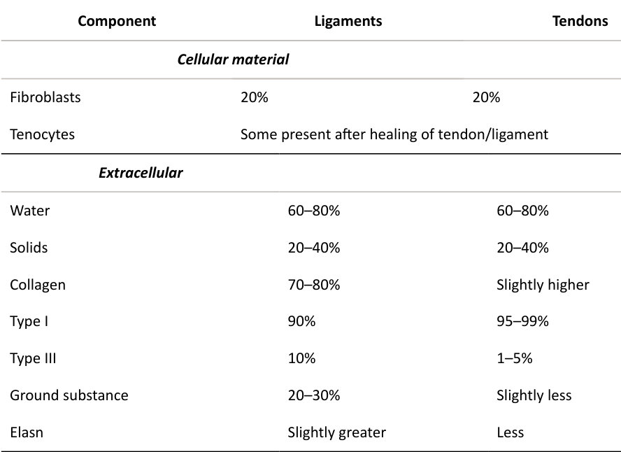 Table rendered from source