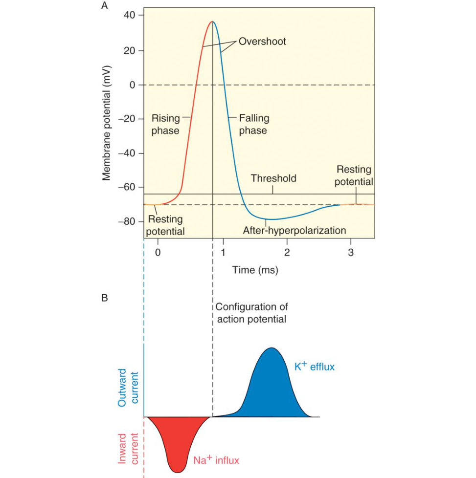 Figure 20.68