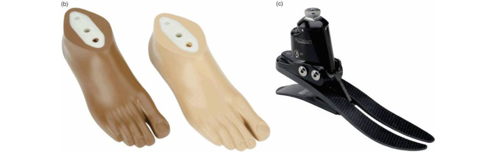 Figure 22.2b