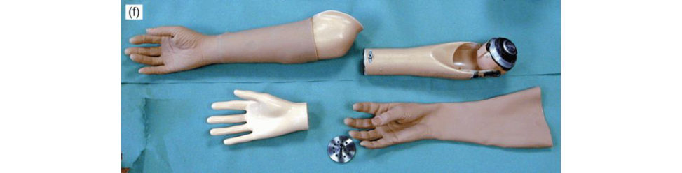 Figure 22.2f