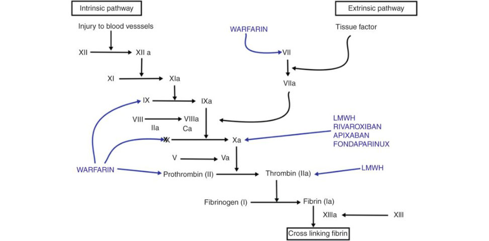 Figure 25.10