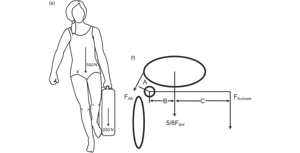 Figure 26.10e