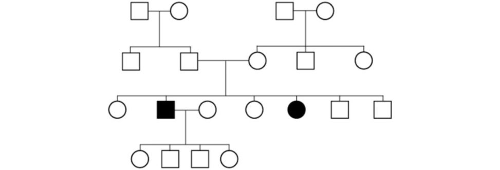 Figure 27.6