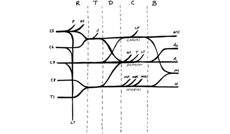 Figure 31.1