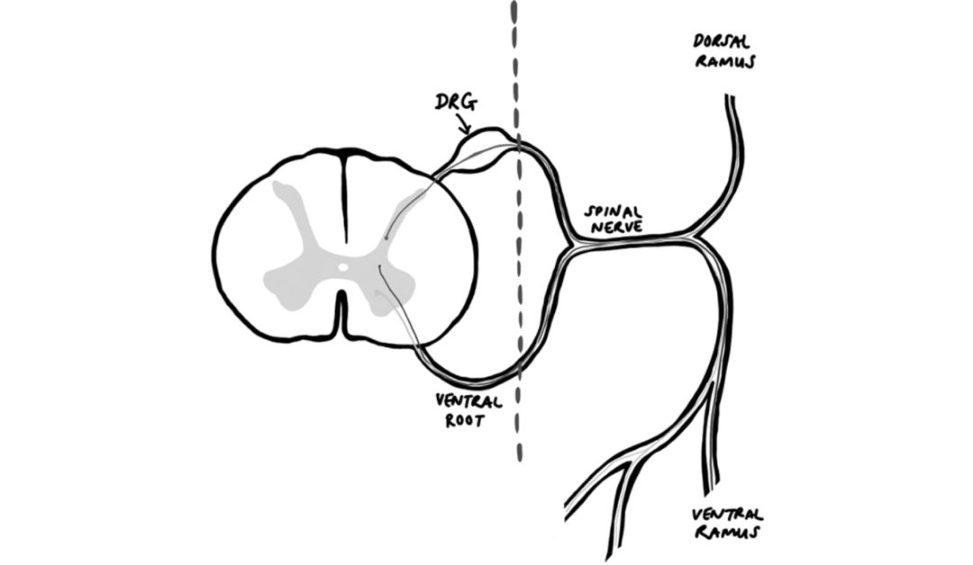 Figure 31.2