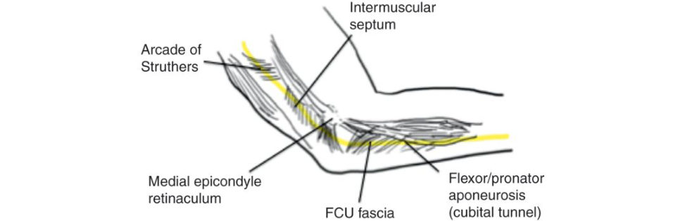 Figure 31.14
