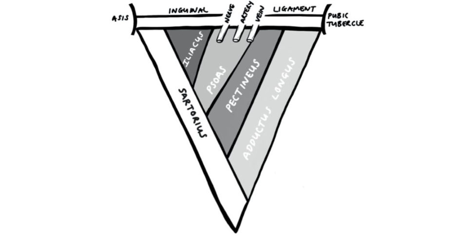 Figure 31.18