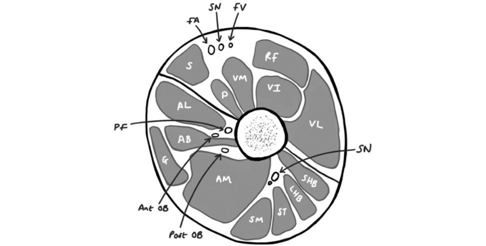 Figure 31.22
