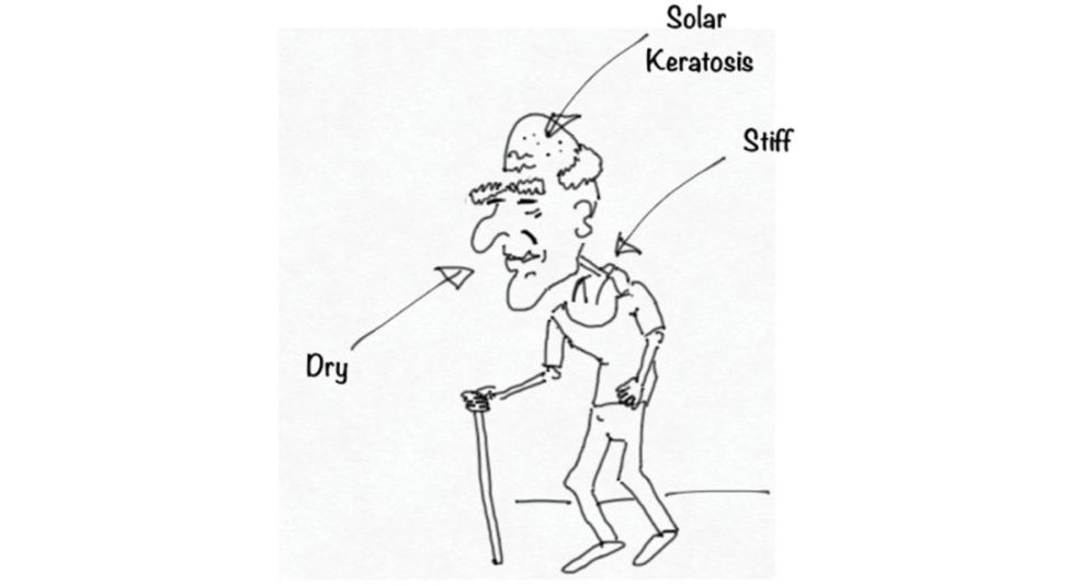 Figure 31.27