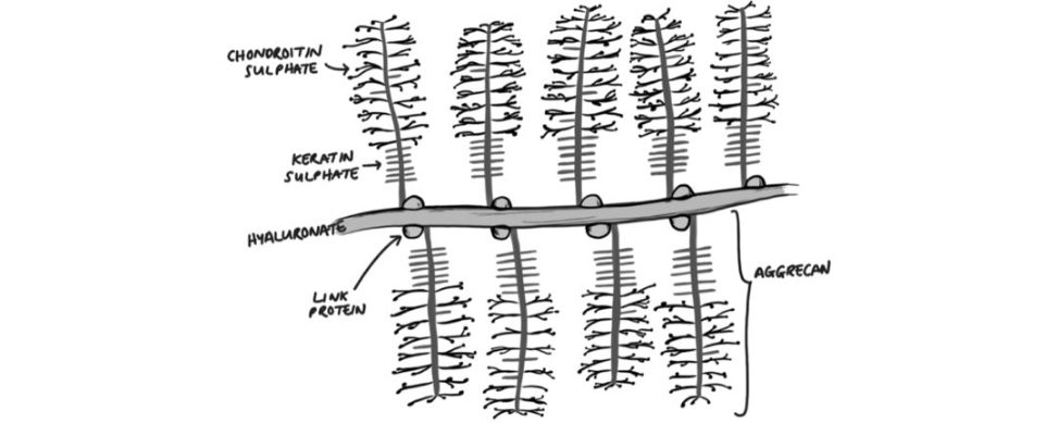 Figure 31.28