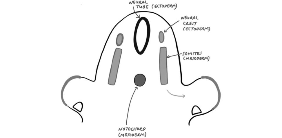 Figure 31.38