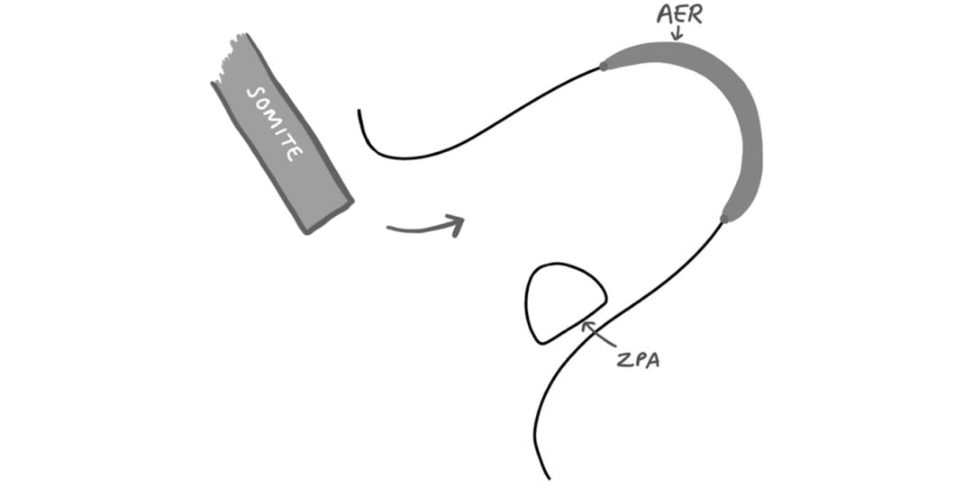 Figure 31.39