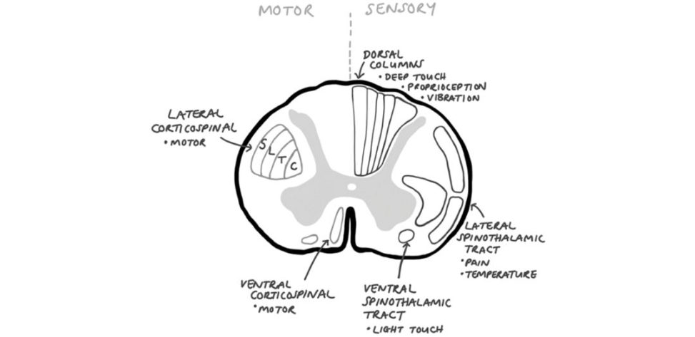 Figure 31.46