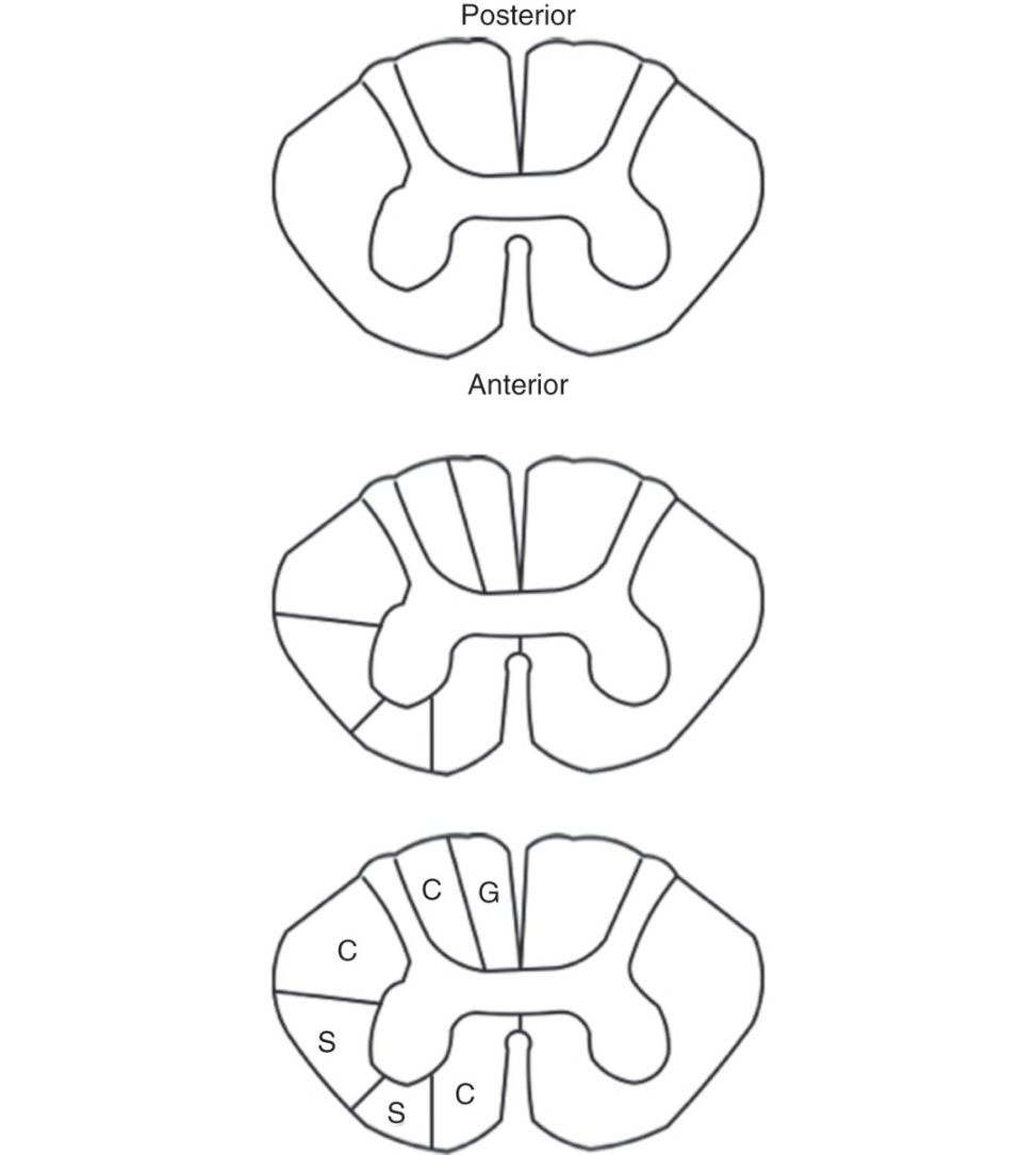 Figure 31.47