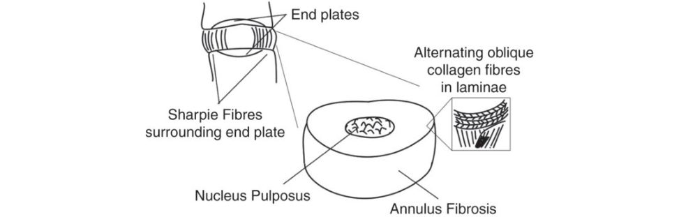 Figure 31.49